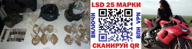 купить наркотик  MEGA как войти  Лсд 25 экстази ecstasy  Грязовец 
