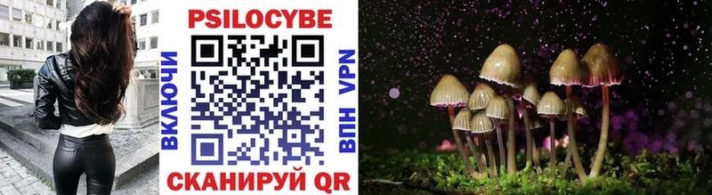 Псилоцибиновые грибы прущие грибы  Грязовец 